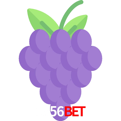 9556bet
